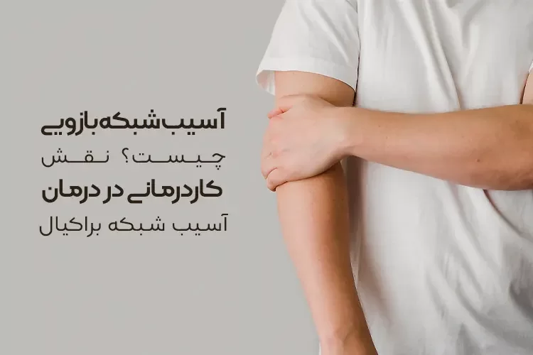 آسیب شبکه بازویی (براکیال) چیست؟ | نقش کاردرمانی در درمان آسیب شبکه براکیال