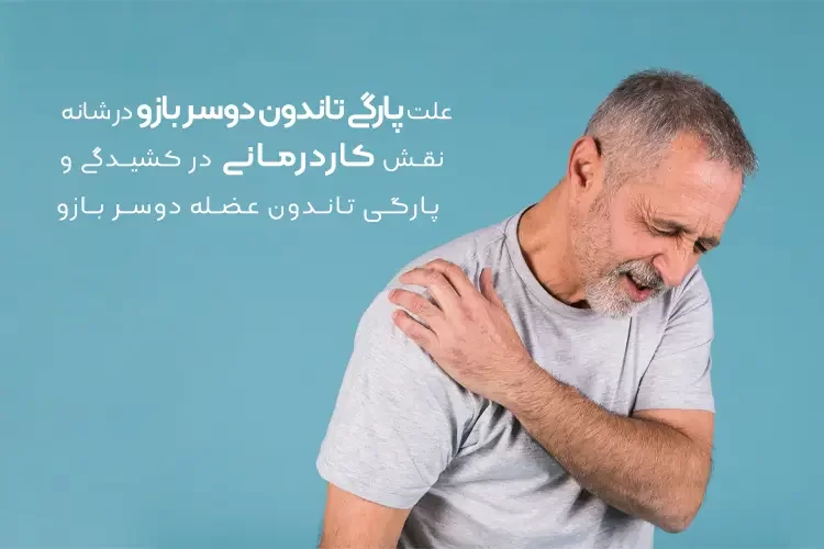 علت پارگی تاندون دوسر بازو در شانه | کاردرمانی در کشیدگی و پارگی تاندون عضله دوسر بازویی